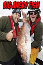Watch Big Angry Fish M4uhd