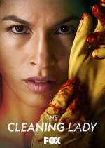 Watch The Cleaning Lady M4uhd