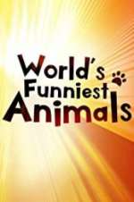 Watch The World\'s Funniest Animals M4uhd