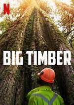 Watch Big Timber M4uhd