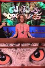 Watch Curious Creatures M4uhd