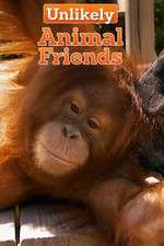 Watch Unlikely Animal Friends M4uhd