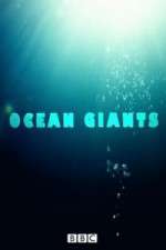 Watch Ocean Giants M4uhd