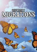 Watch Secret Migrations M4uhd