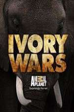 Watch Ivory Wars M4uhd