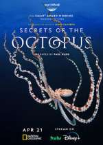 Watch Secrets of the Octopus M4uhd
