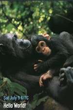 Watch Hello World! M4uhd