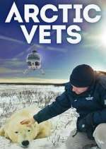 Watch Arctic Vets M4uhd