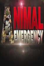Watch Animal Emergency M4uhd