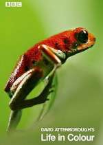 Watch Attenborough's Life in Colour M4uhd