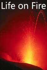 Watch Life on Fire M4uhd