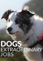 Watch Dogs with Extraordinary Jobs M4uhd