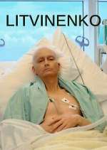 Watch Litvinenko M4uhd