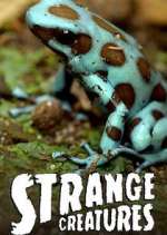 Watch Strange Creatures M4uhd