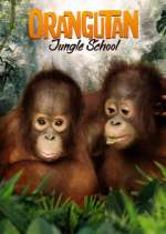 Watch Orangutan Jungle School M4uhd