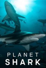 Watch Planet Shark M4uhd