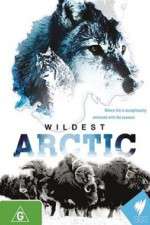 Watch Wildest Arctic M4uhd