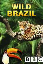 Watch Wild Brazil M4uhd