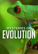 Watch Mysteries of Evolution M4uhd