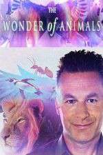 Watch The Wonder of Animals M4uhd