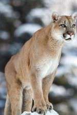 Watch Race of Life M4uhd