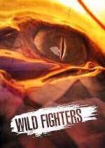 Watch Wild Fighters M4uhd