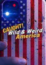 Watch Wild & Weird America M4uhd
