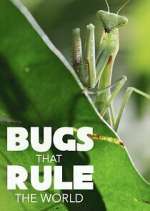 Watch Bugs that Rule the World M4uhd