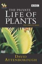 Watch The Private Life of Plants M4uhd