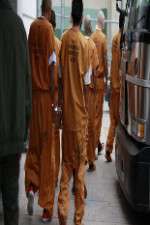 Watch First Week In M4uhd