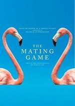 Watch The Mating Game M4uhd