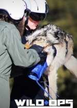 Watch Wild Ops M4uhd