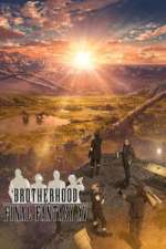 Watch BROTHERHOOD FINAL FANTASY XV M4uhd