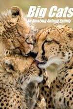Watch Big Cats: An Amazing Animal Family M4uhd