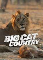 Watch Big Cat Country M4uhd