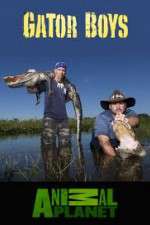 Watch Gator Boys M4uhd