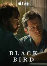 Watch Black Bird M4uhd