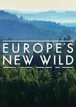 Watch Europe's New Wild M4uhd