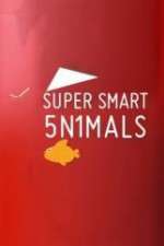 Watch Super Smart Animals M4uhd