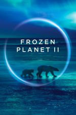 Watch Frozen Planet II M4uhd