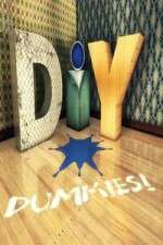 Watch DIY Dummies M4uhd