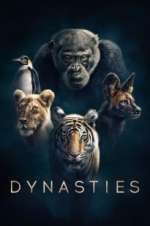 Watch Dynasties M4uhd