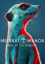 Watch Meerkat Manor: Rise of the Dynasty M4uhd