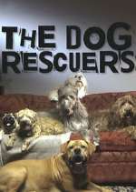 Watch The Dog Rescuers with Alan Davies M4uhd