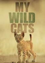 Watch My Wild Cats M4uhd