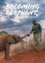 Watch Becoming Elephant: The Orphans Of Reteti M4uhd
