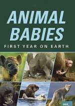 Watch Animal Babies: First Year on Earth M4uhd