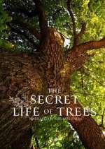 Watch The Secret Life of Trees M4uhd