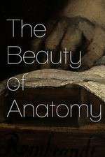 Watch The Beauty of Anatomy M4uhd