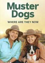 Watch Muster Dogs: Where Are They Now? M4uhd